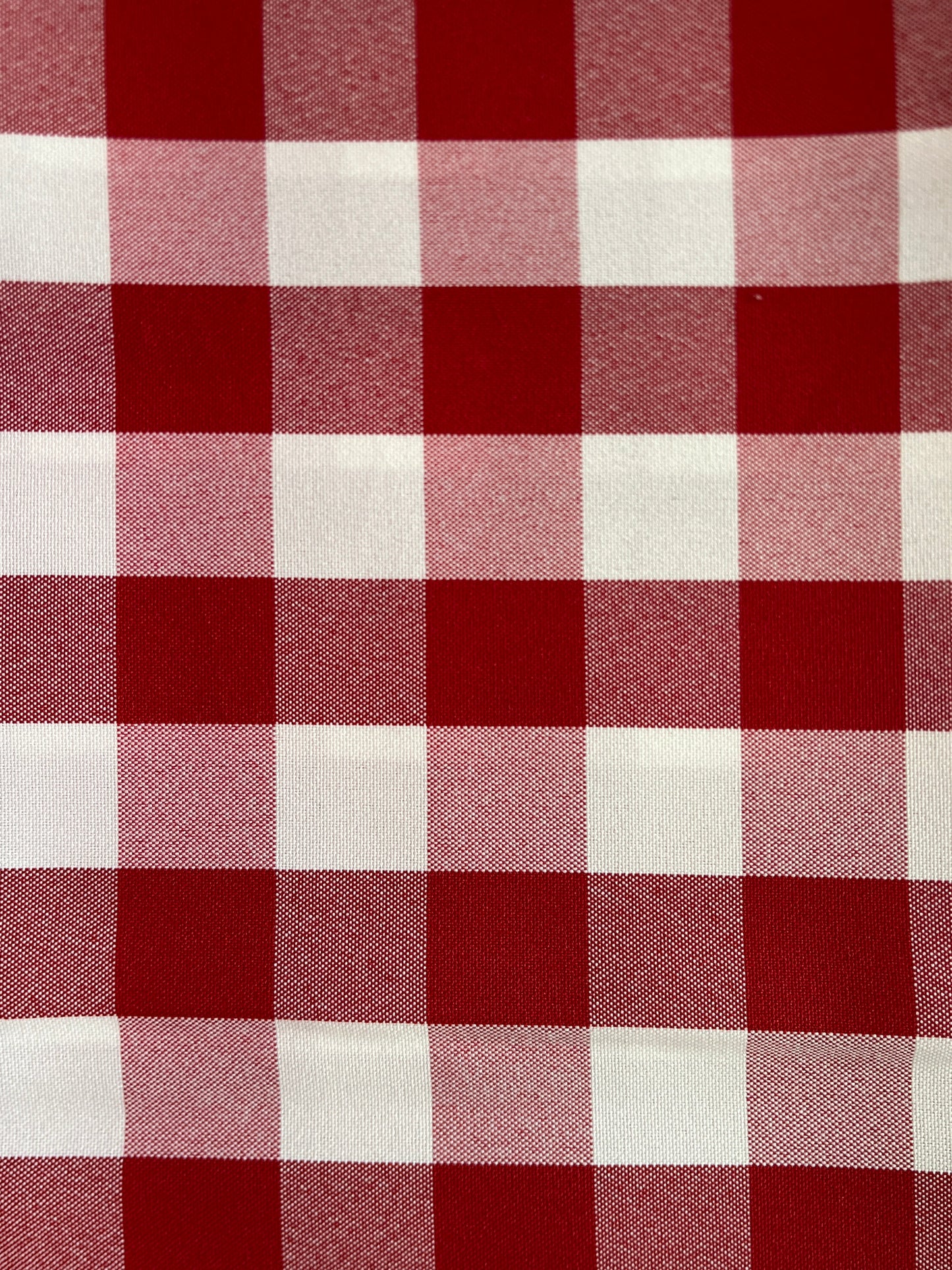 Red Gingham Check