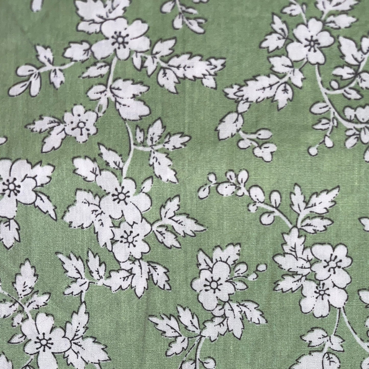 White Floral on Light Green