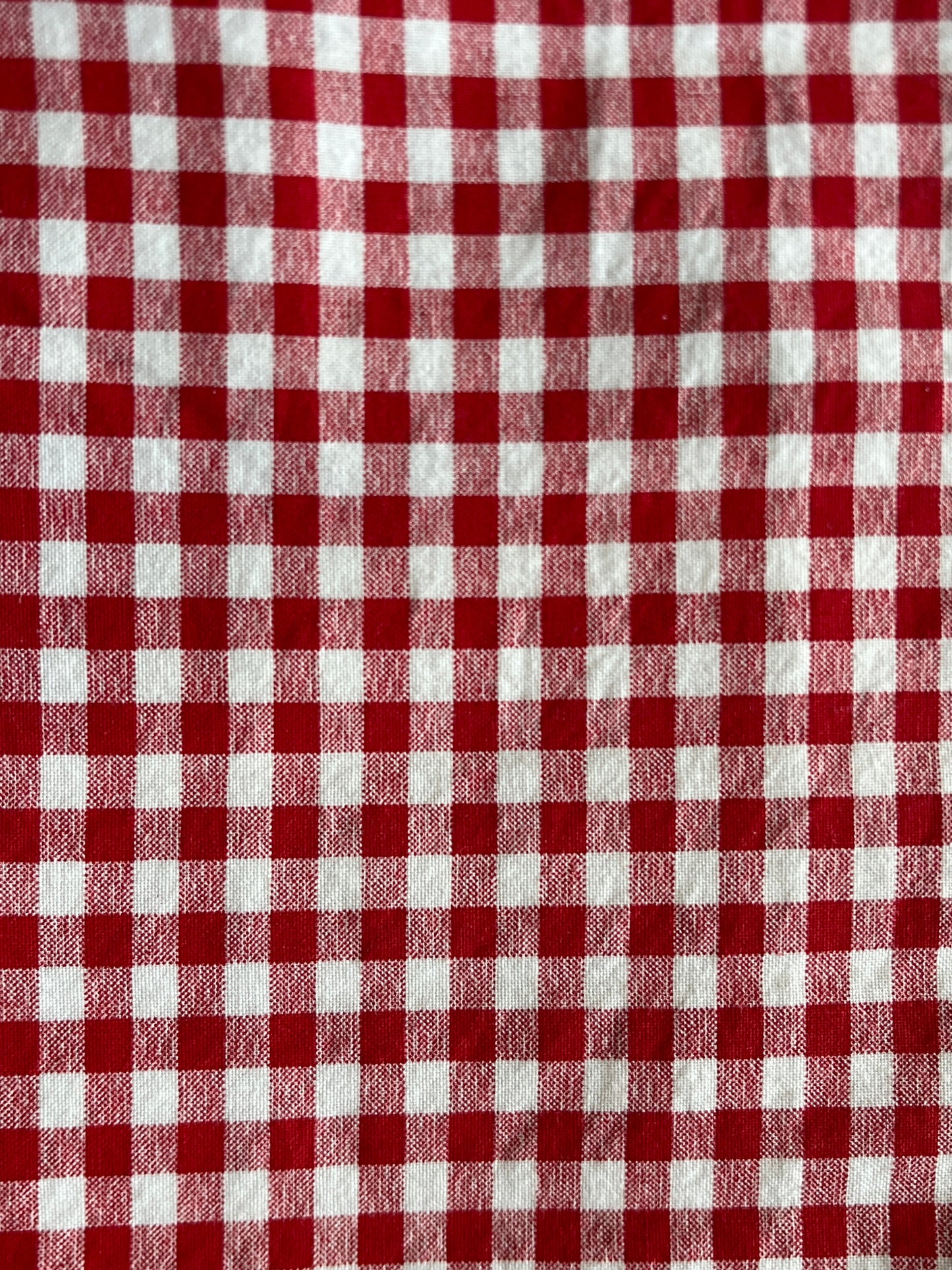 Red Gingham Check