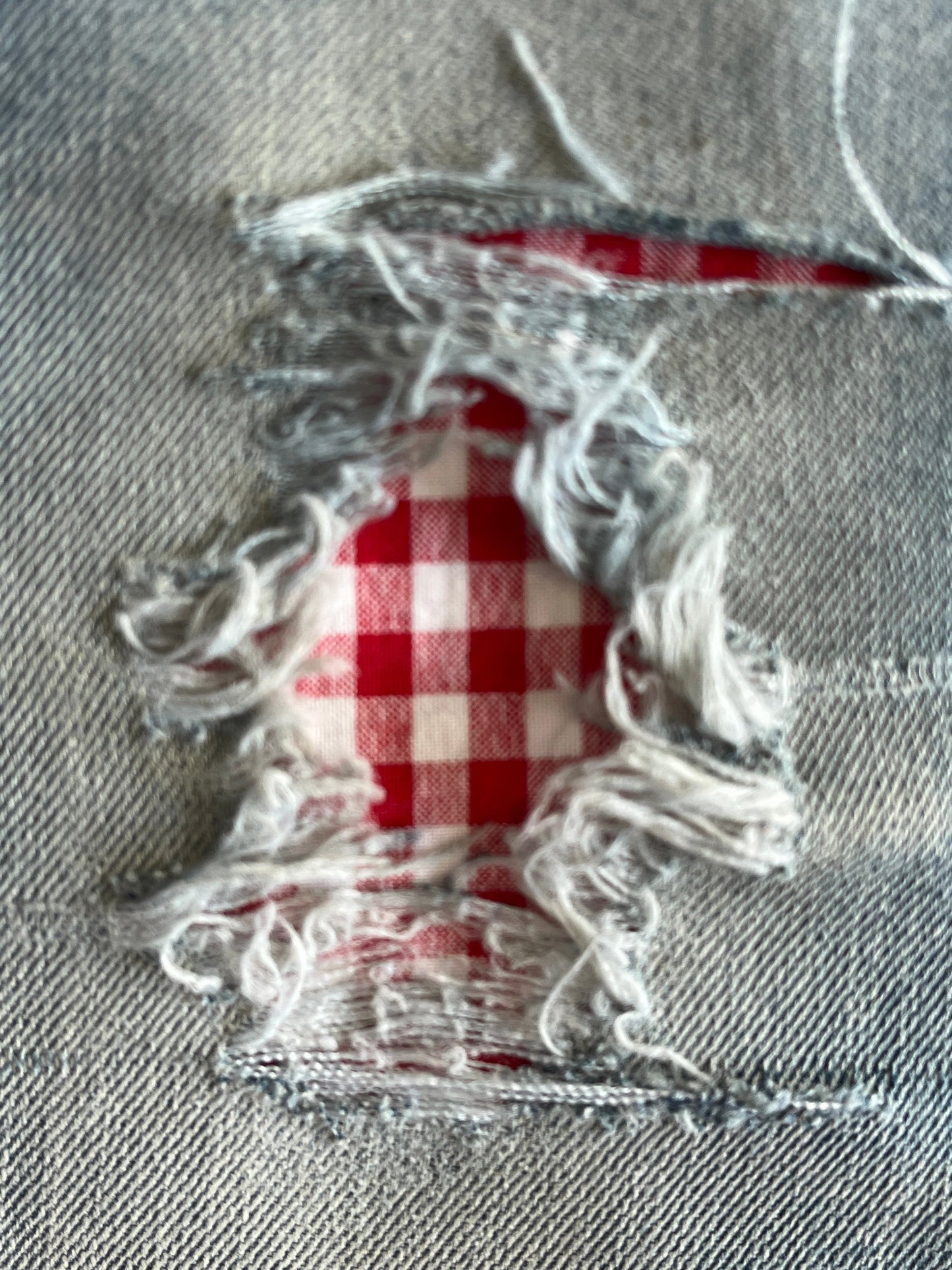 Red Gingham Check