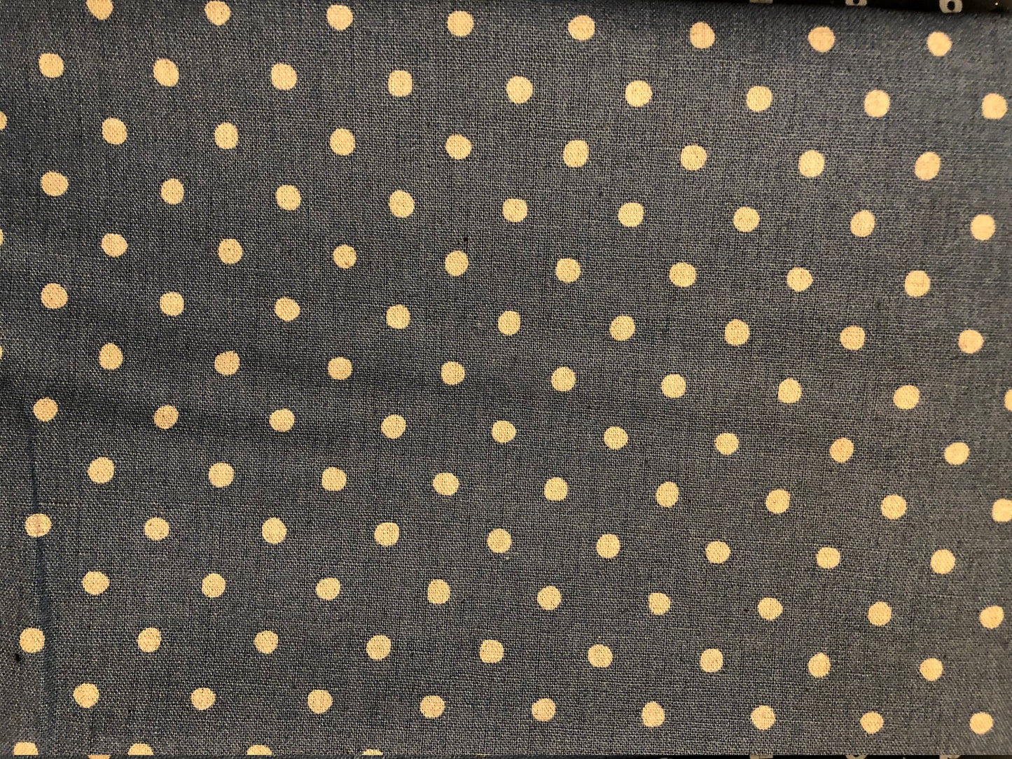 Periwinkle Blue Polka Dot (Pretty Patches)