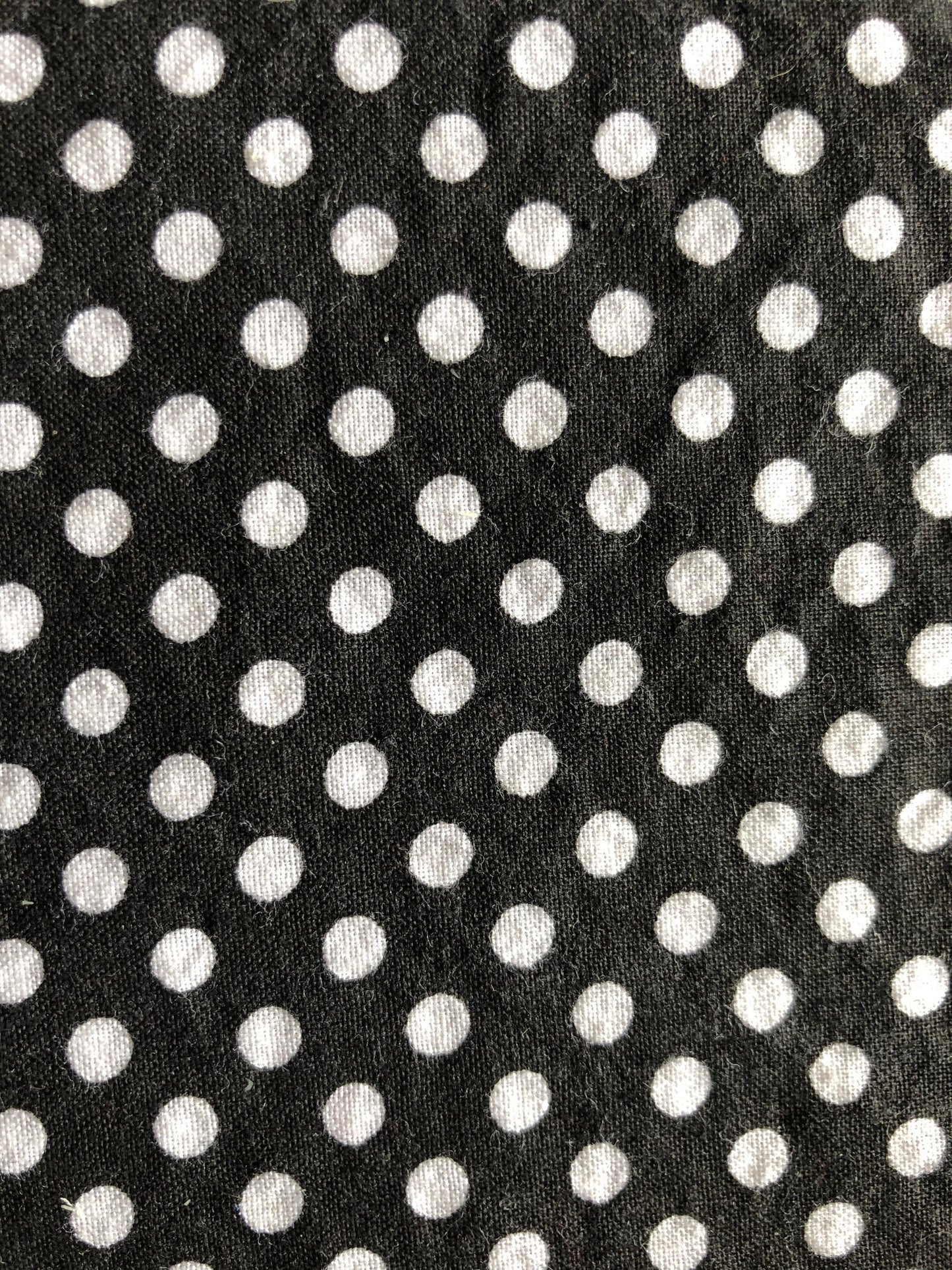 Black Polka Dot