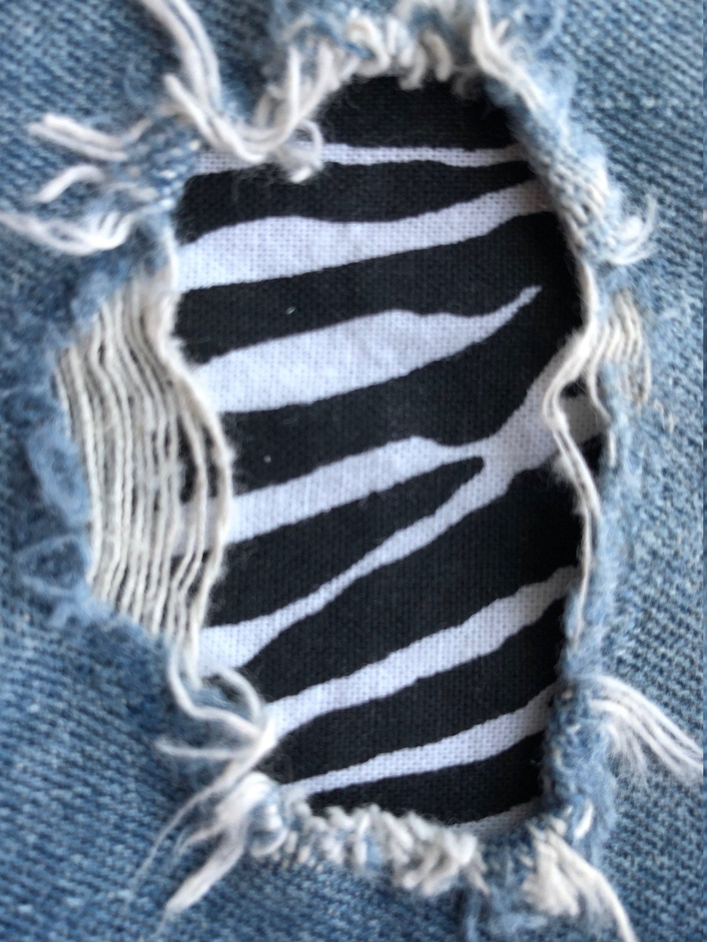 Black and White Zebra