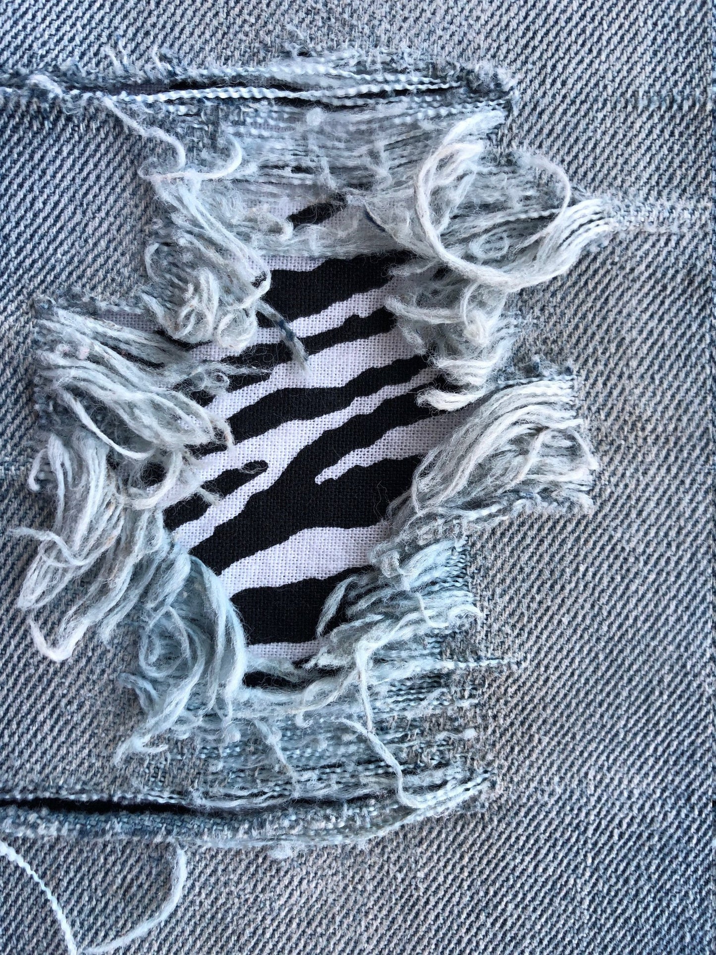 Black and White Zebra