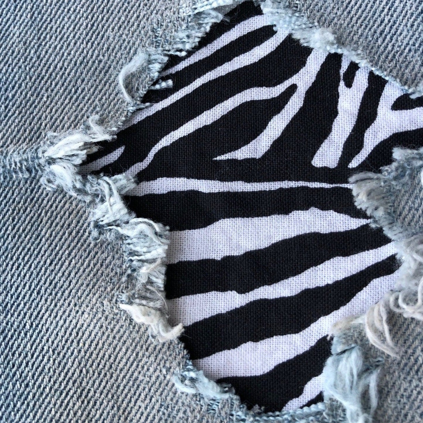Black and White Zebra