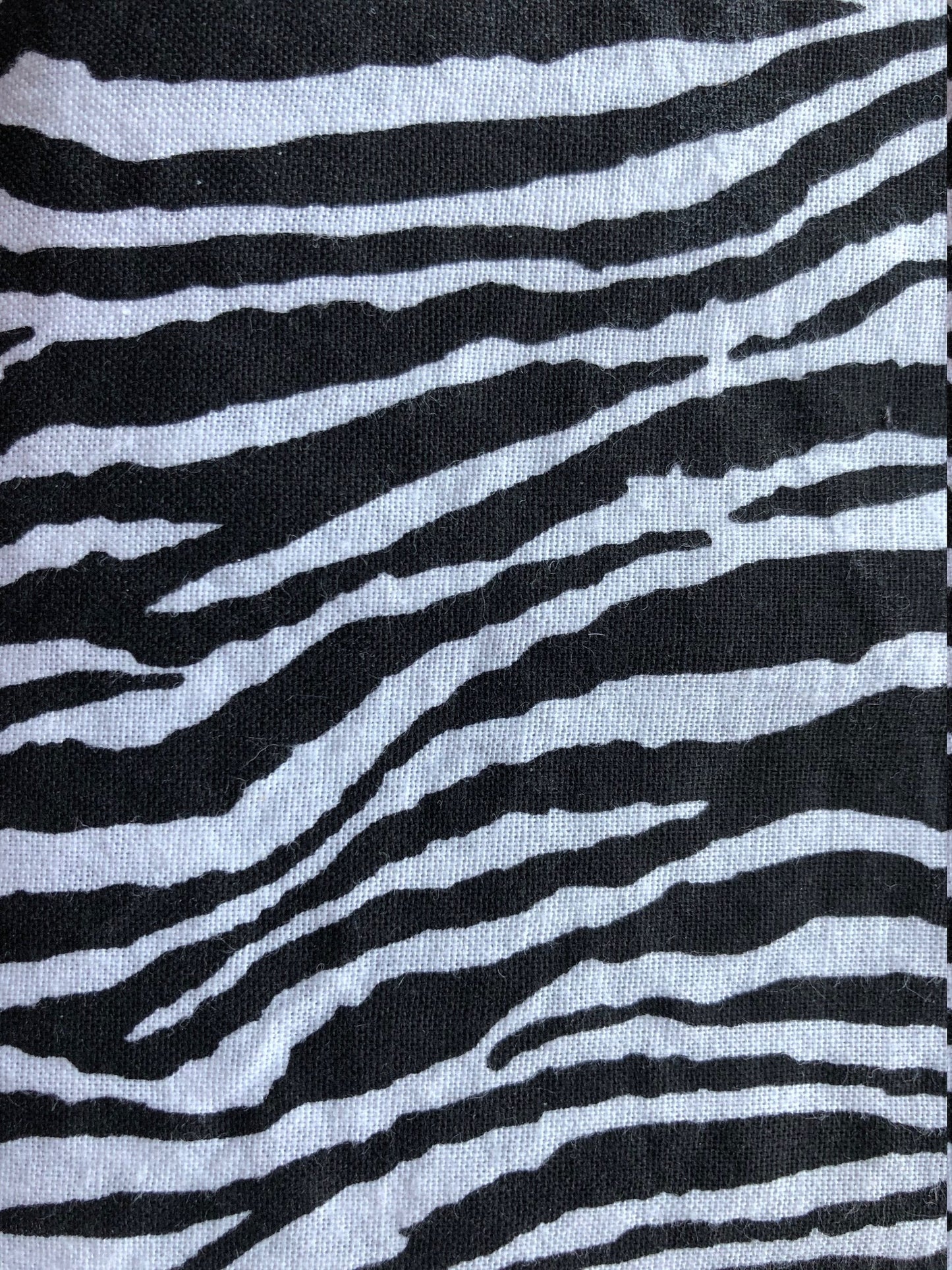 Black and White Zebra