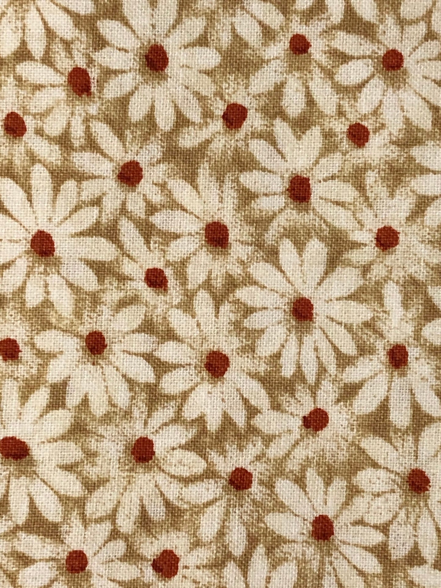 Crazy Daisy (3 color options)