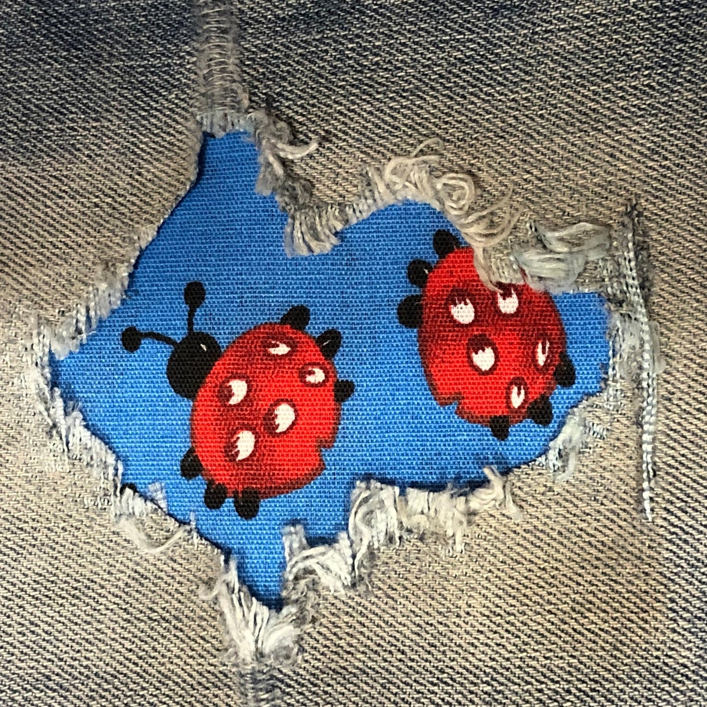 Red ladybug on Blue