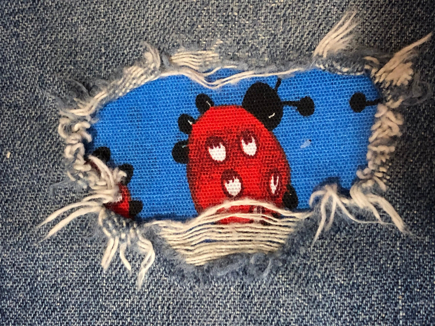 Red ladybug on Blue
