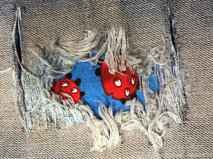 Red ladybug on Blue