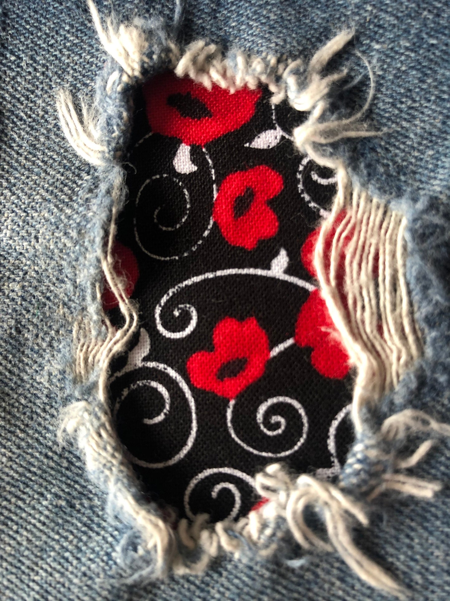 Red Poppy on Black