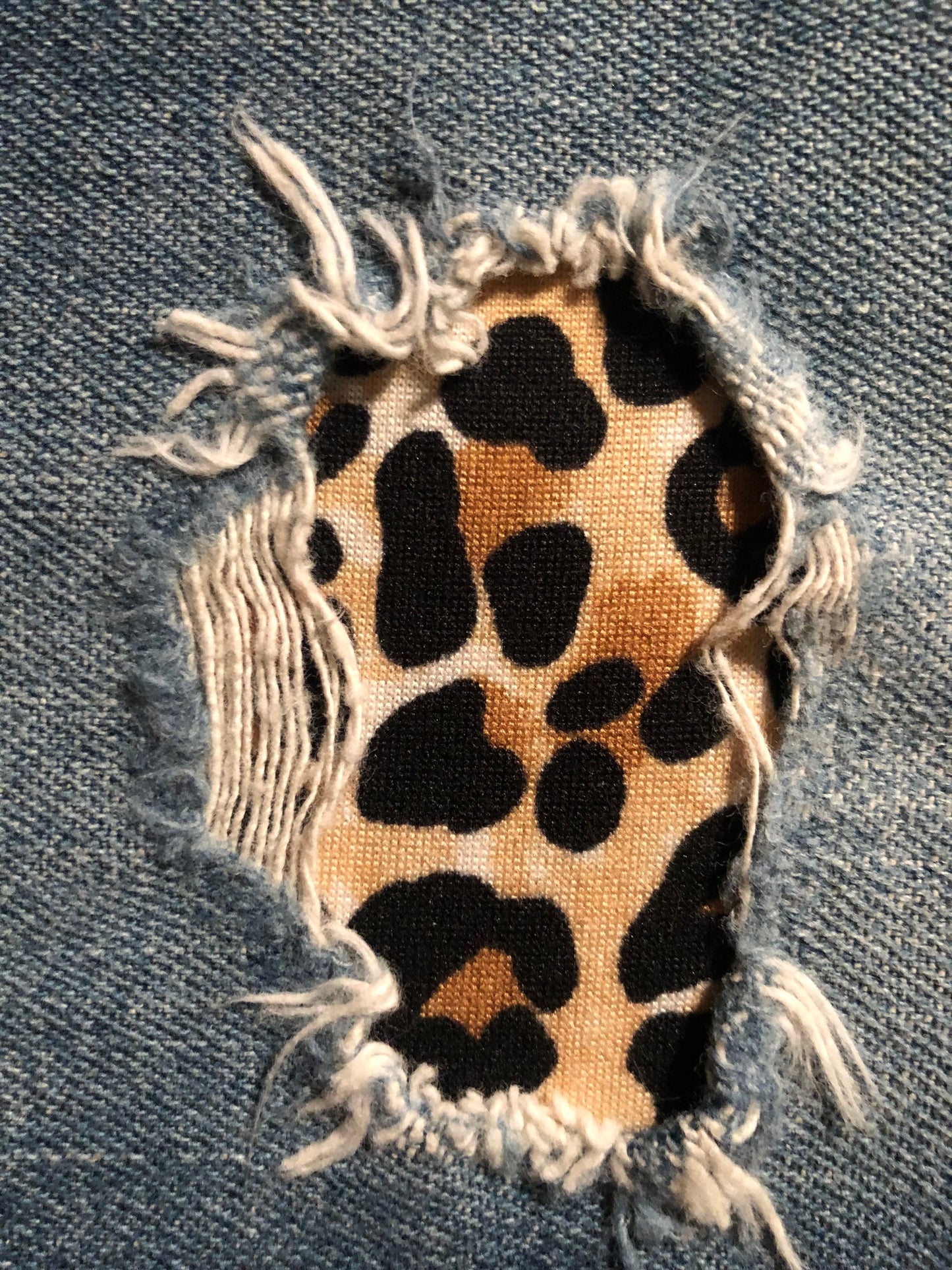 Cheetah | Leopard STRETCH