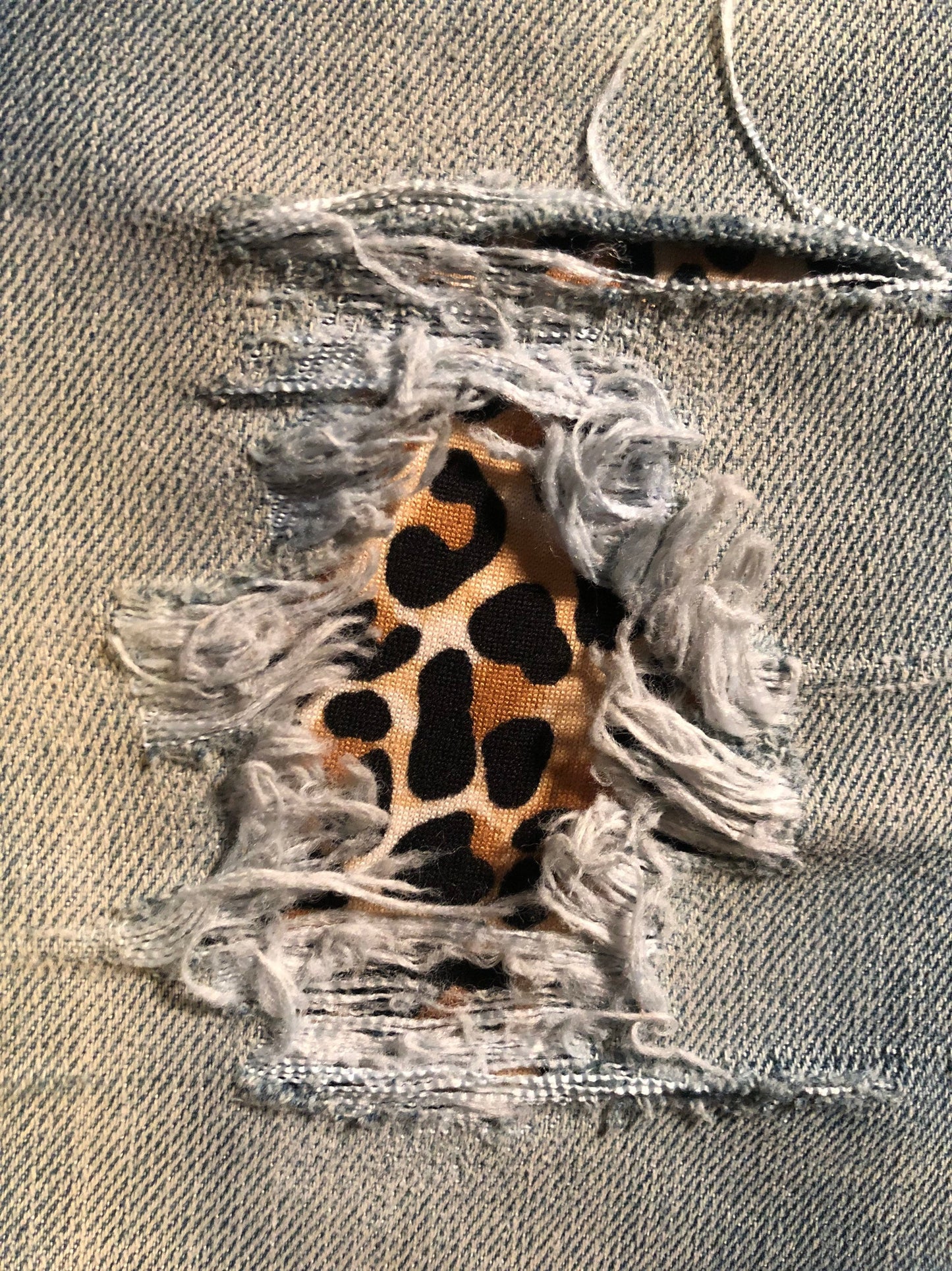 Cheetah | Leopard STRETCH